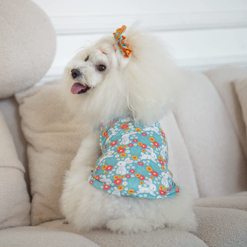 CuteBone t-shirt chien paques saint-patrick 2-pack polyvalent