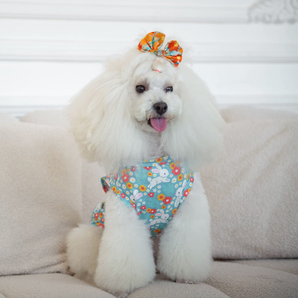 CuteBone t-shirt chien paques, tissu léger et aéré pour été