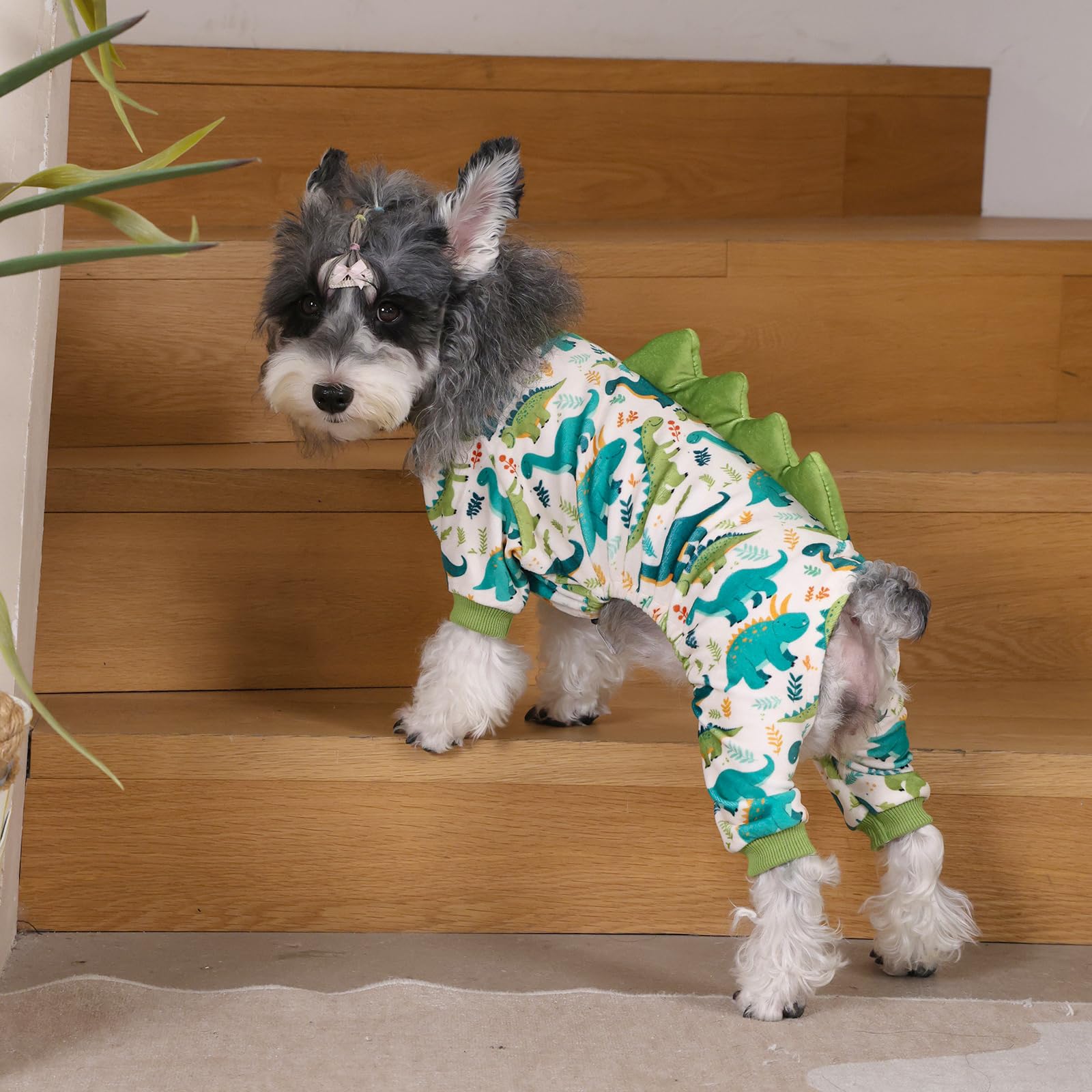 CuteBone costume-dinosaure-chien: idéal pour Halloween et séances photos.