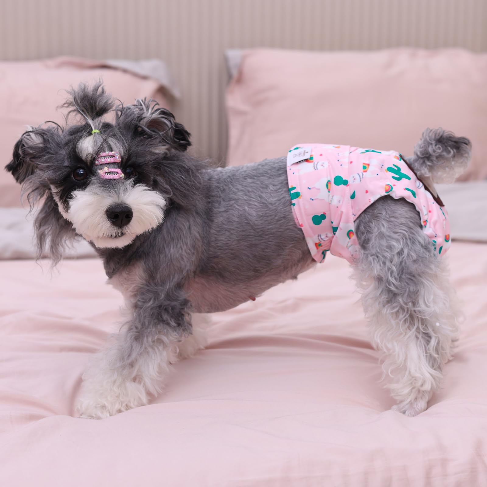 CuteBone: couches chien, doublure sèche et rapide pour le confort.