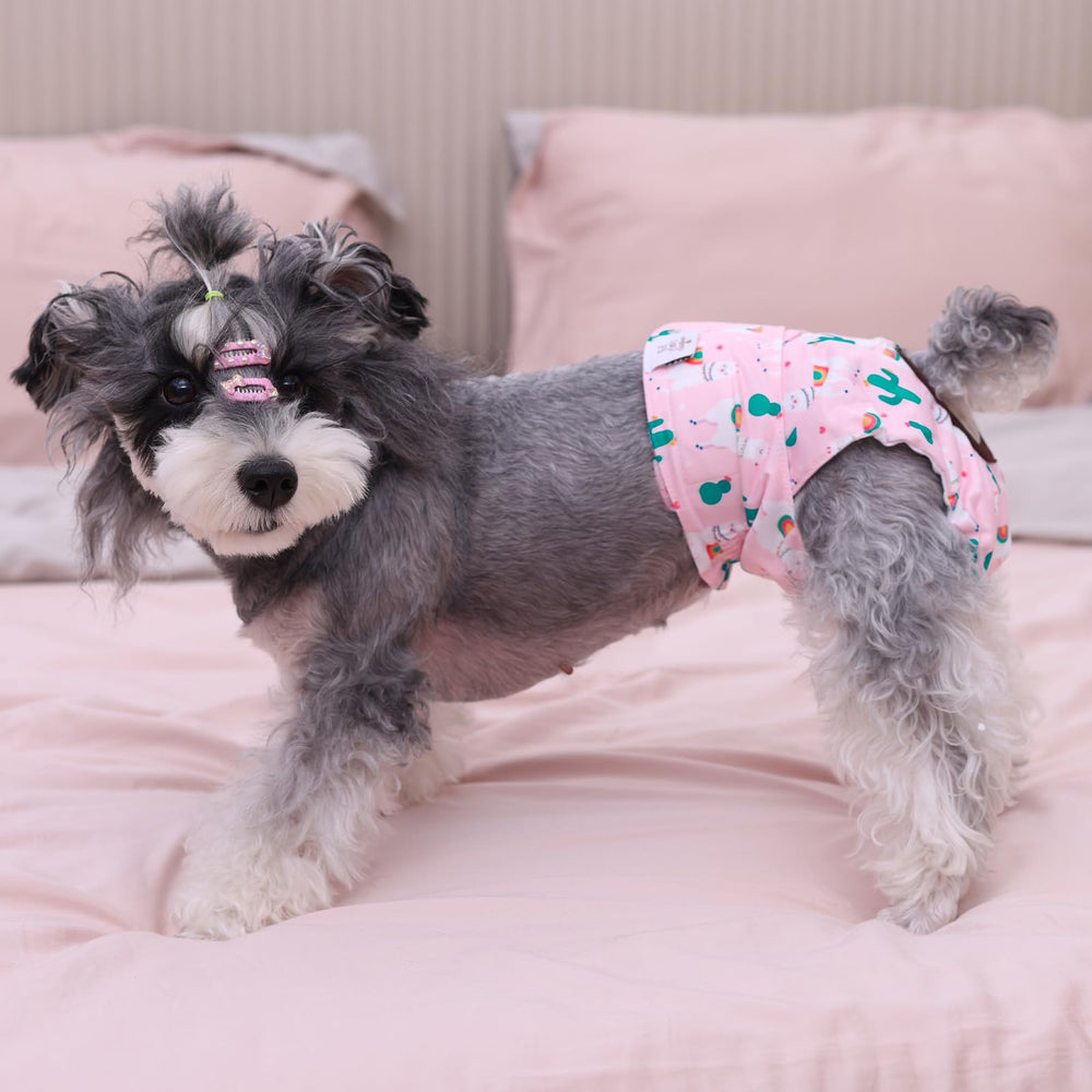 CuteBone: couches chien, doublure sèche et rapide pour le confort.