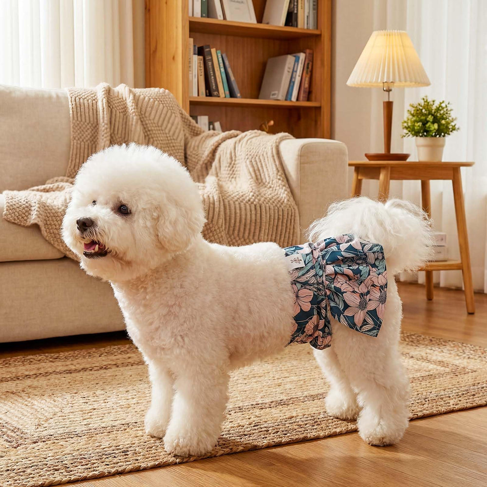 CuteBone protections-chien élastiques-jambes réglables, ajustement sûr