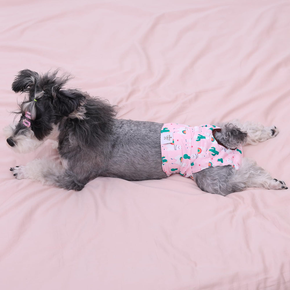 CuteBone couches-chien-femelle fermetures-velcro: changement rapide et propre.