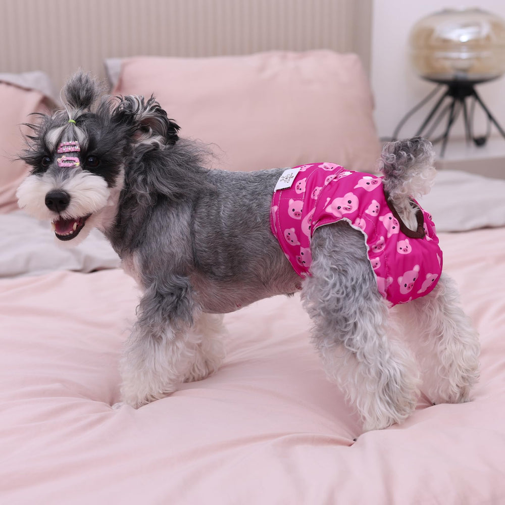 CuteBone couches-chien-femelle impermeables-exterieur: protection anti-fuite pour intérieur et meubles.