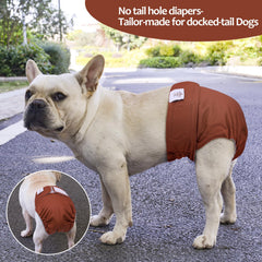 CuteBone couches chien femelle – pads absorbants qui gardent l’intérieur sec.