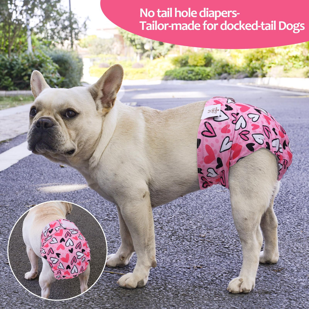 CuteBone fermeture velcro facile pour mise en place rapide et ajustement sûr
