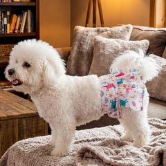 CuteBone couches-chiennes snaps dos reglables: ajustement personnalisé et sécurité.