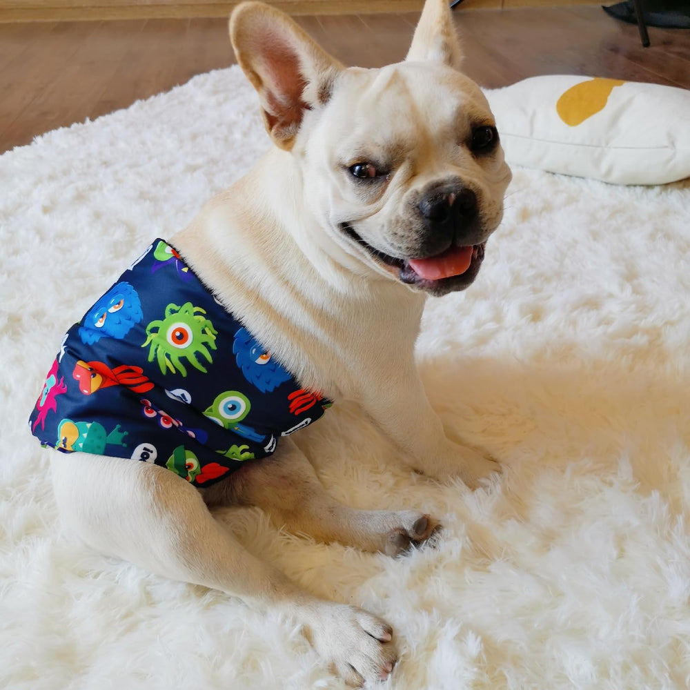 CuteBone designs mignons: trois motifs pour plaire à tous les chiens.