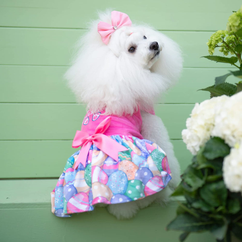 CuteBone détails velours robe, texture douce pour petit chien.