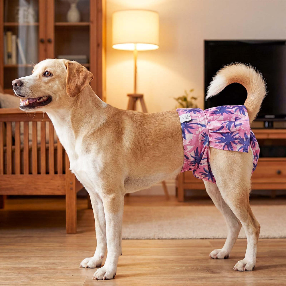 CuteBone diapr-chien-ensemble-3-pack, solution pratique et economique