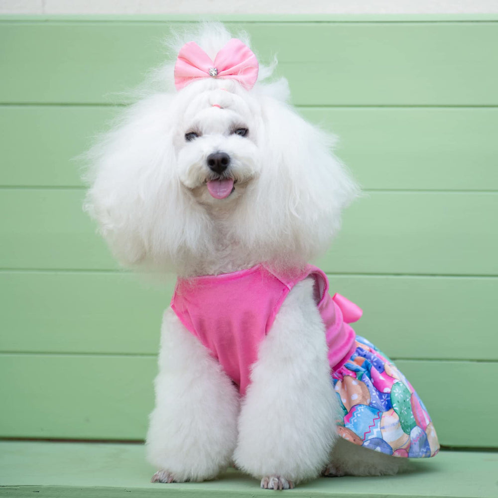Guide des tailles CuteBone pour chien – conseils pour ajustement précis.