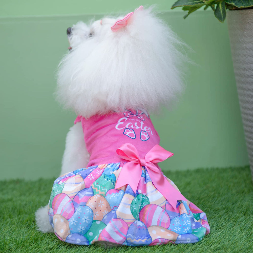 Guide des tailles CuteBone, aide à choisir la bonne taille.