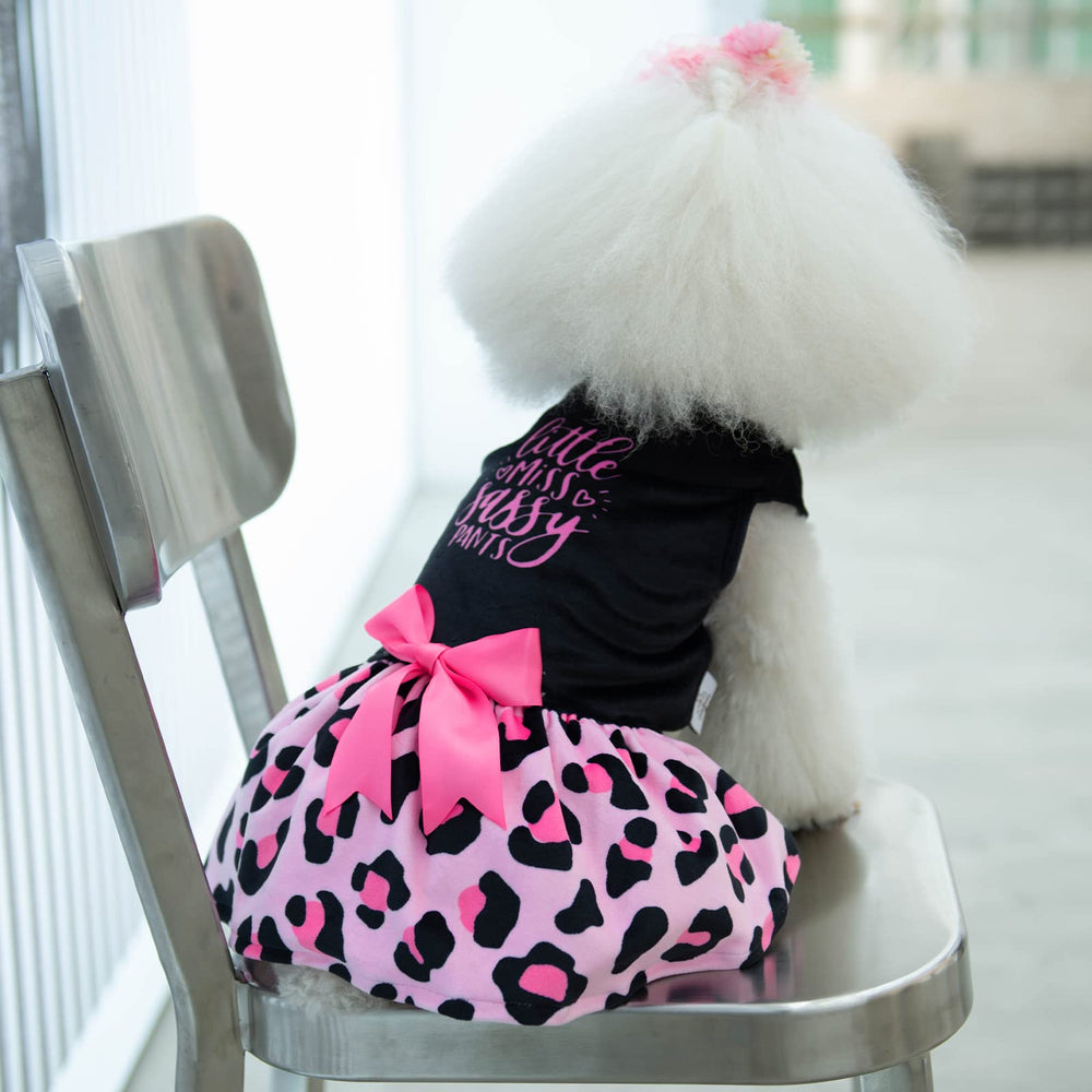 CuteBone robe velours imprimé Léopard en position photo pour petit chien.