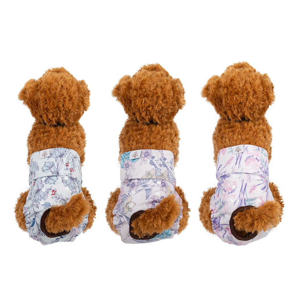 CuteBone snaps arrière modulaires pour un ajustement précis autour de la queue.