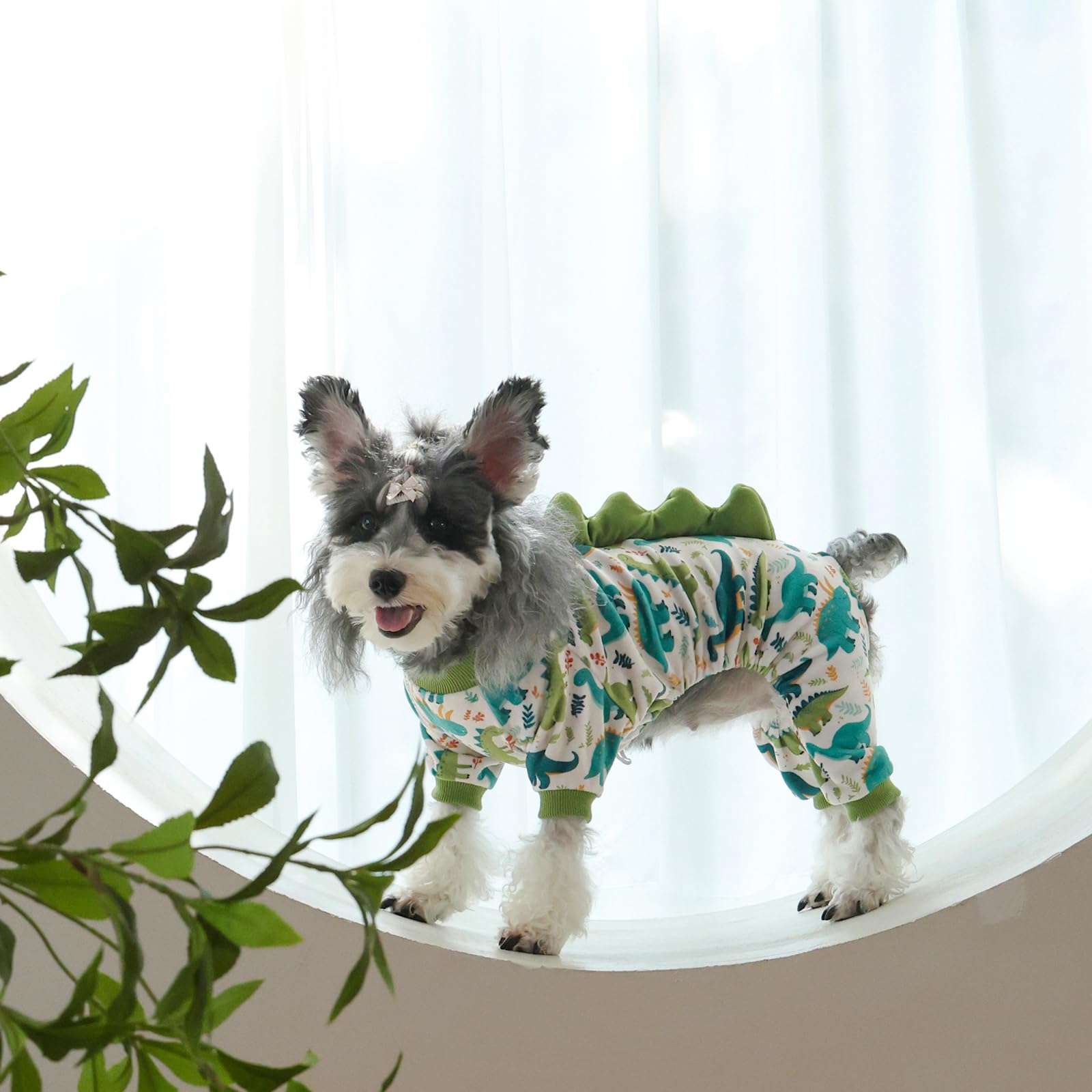 CuteBone vêtement-dinosaure-chien: chaleur douce lors des balades par temps froid.