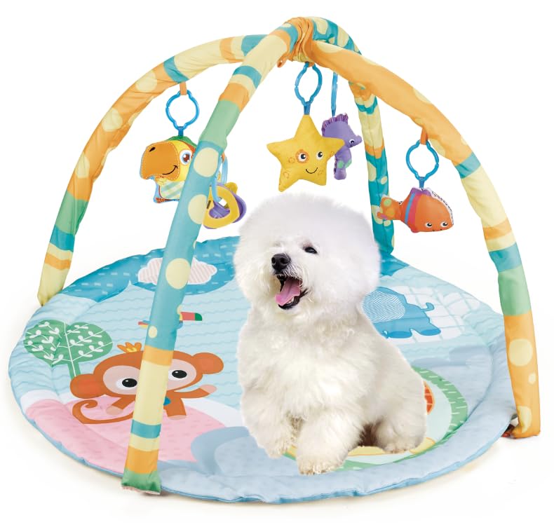 Cutie Patootie Playhouse: tapis d’activités pour chiots stimulant l’exploration et l’exercice.