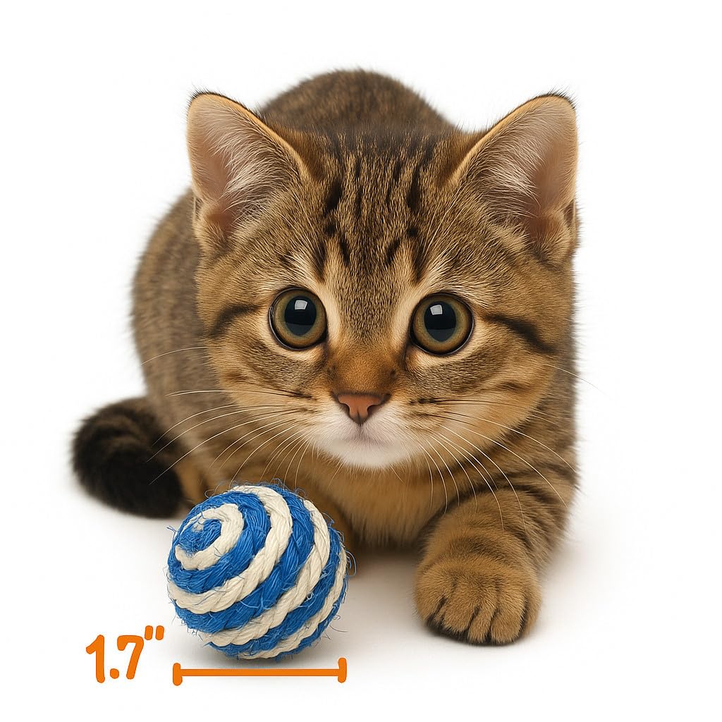 Pack Cuties PetBox de balles sisal multicolores, idéal pour l’enrichissement intérieur.