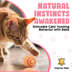 Trois balles sisal naturelles Cuties PetBox durables et sans toxines.