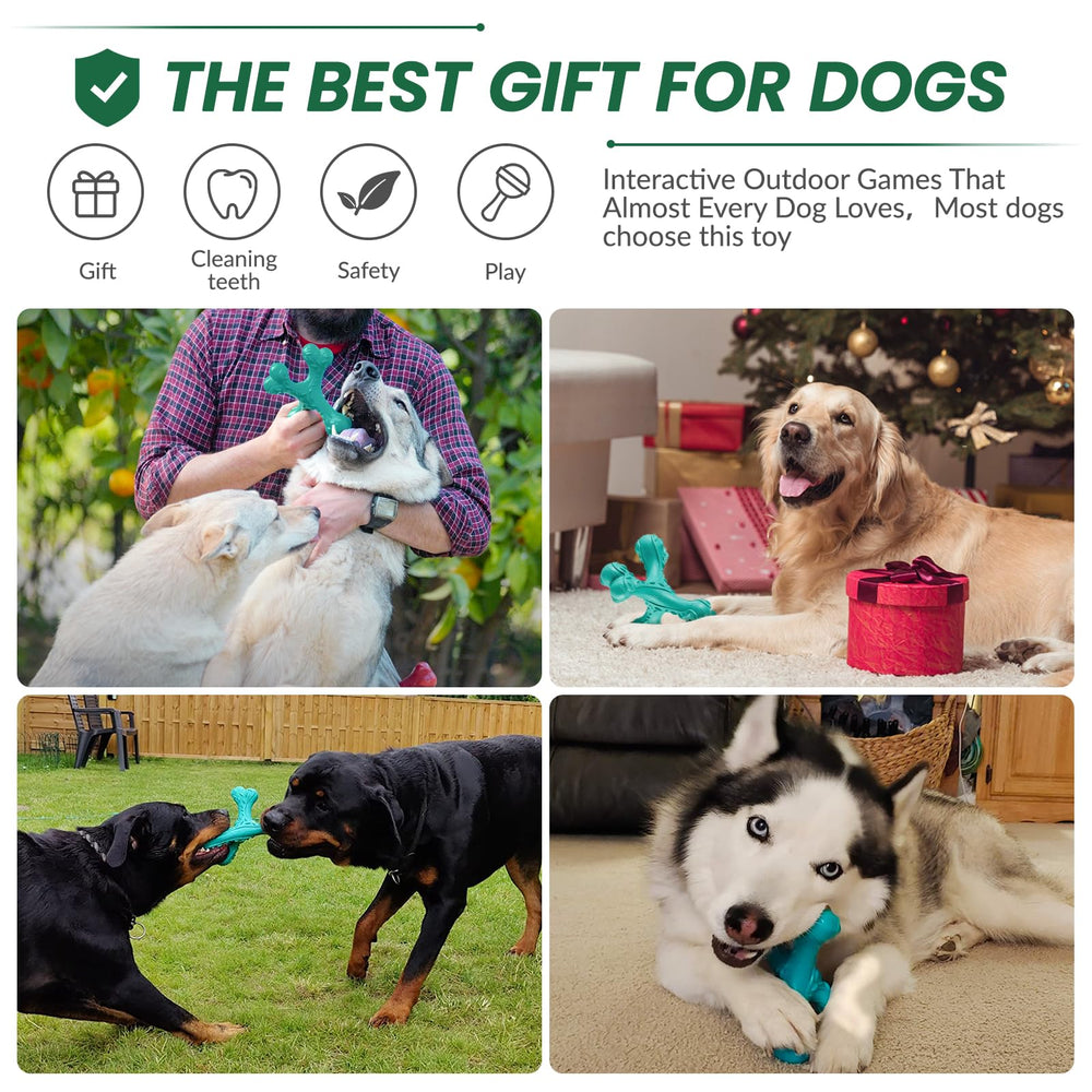 CVALIN jouet renforcé bleu favorisant le lien avec votre chien lors des jeux.