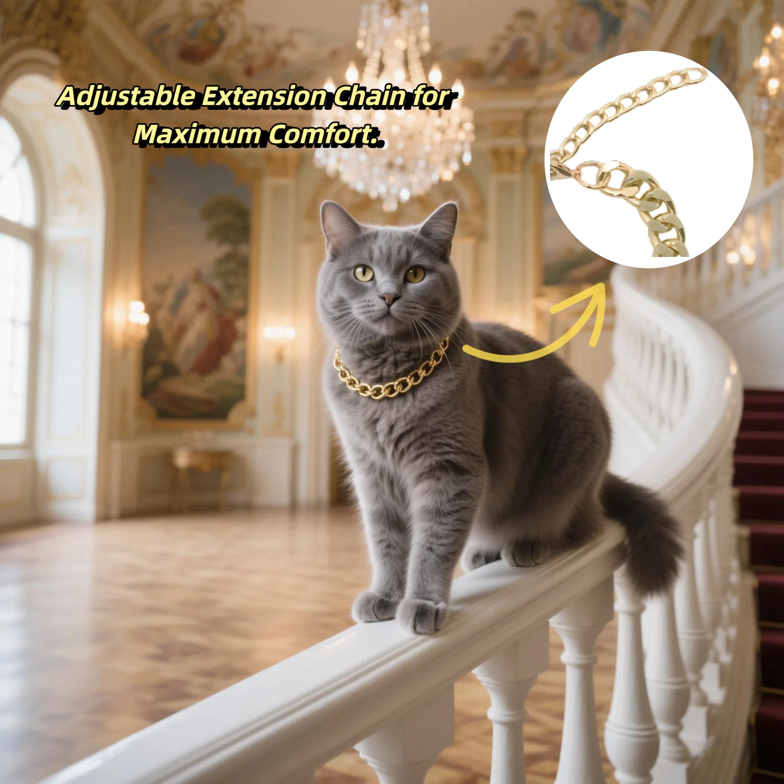 CWYZA collier-chat ajustable avec extension pour toutes tailles.