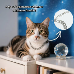 Chaîne réglable CWYZA, ajustement facile pour tous les chats et morphologies