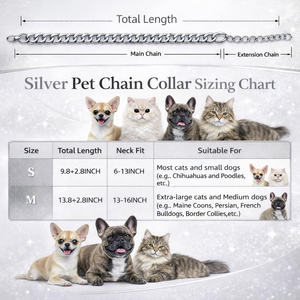 Style élégant CWYZA pour chats actifs et photogéniques