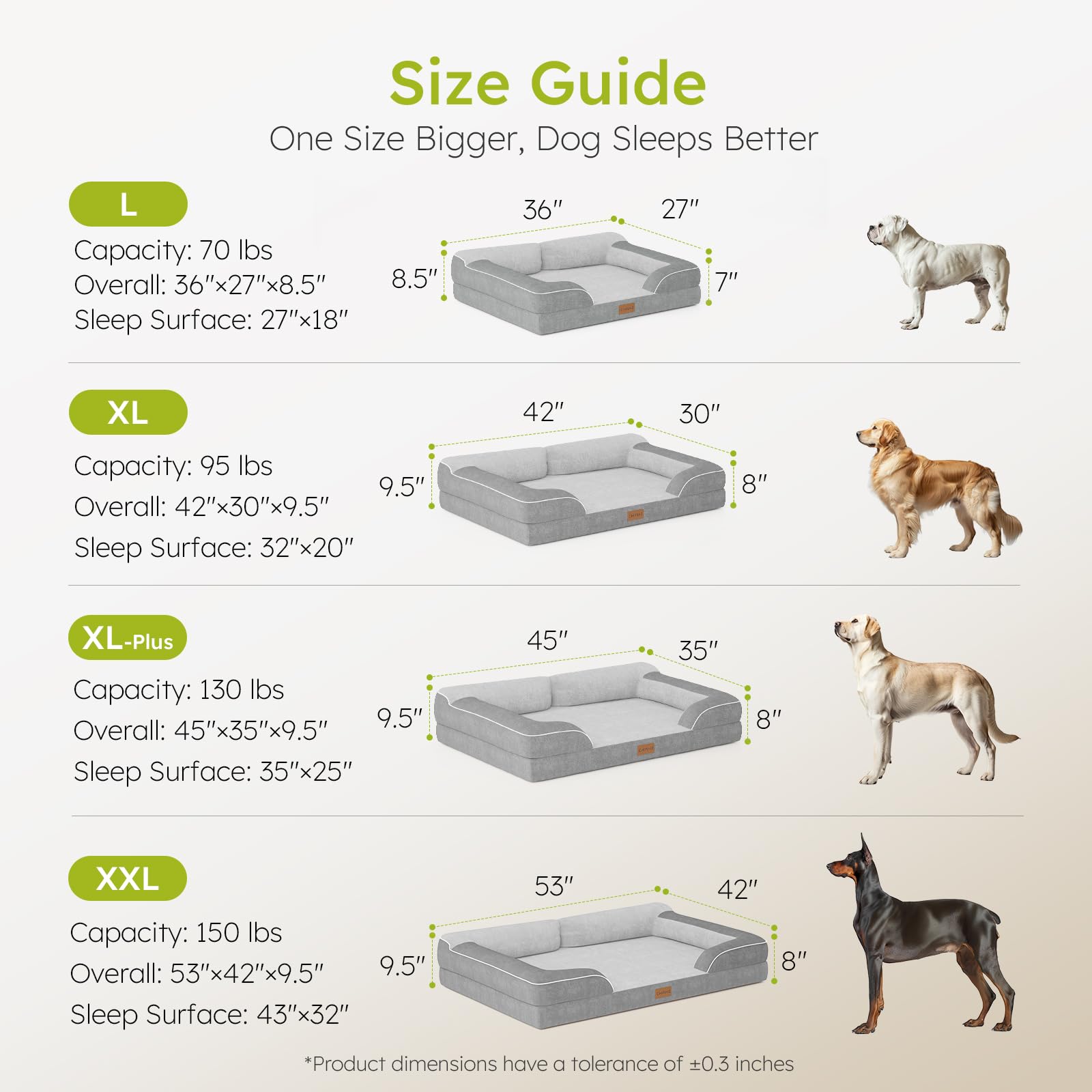 CWAWZ jouet os chien inclus pour stimulation et amusement.