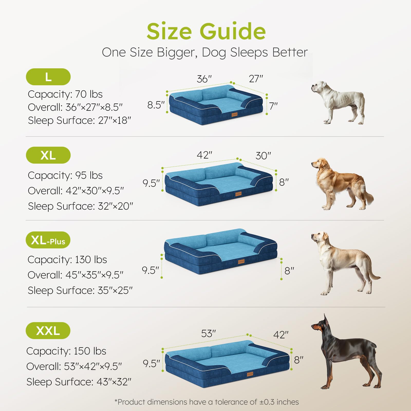CWAWZ lit-chien-grand jouet os inclus pour amusement et enrichment.