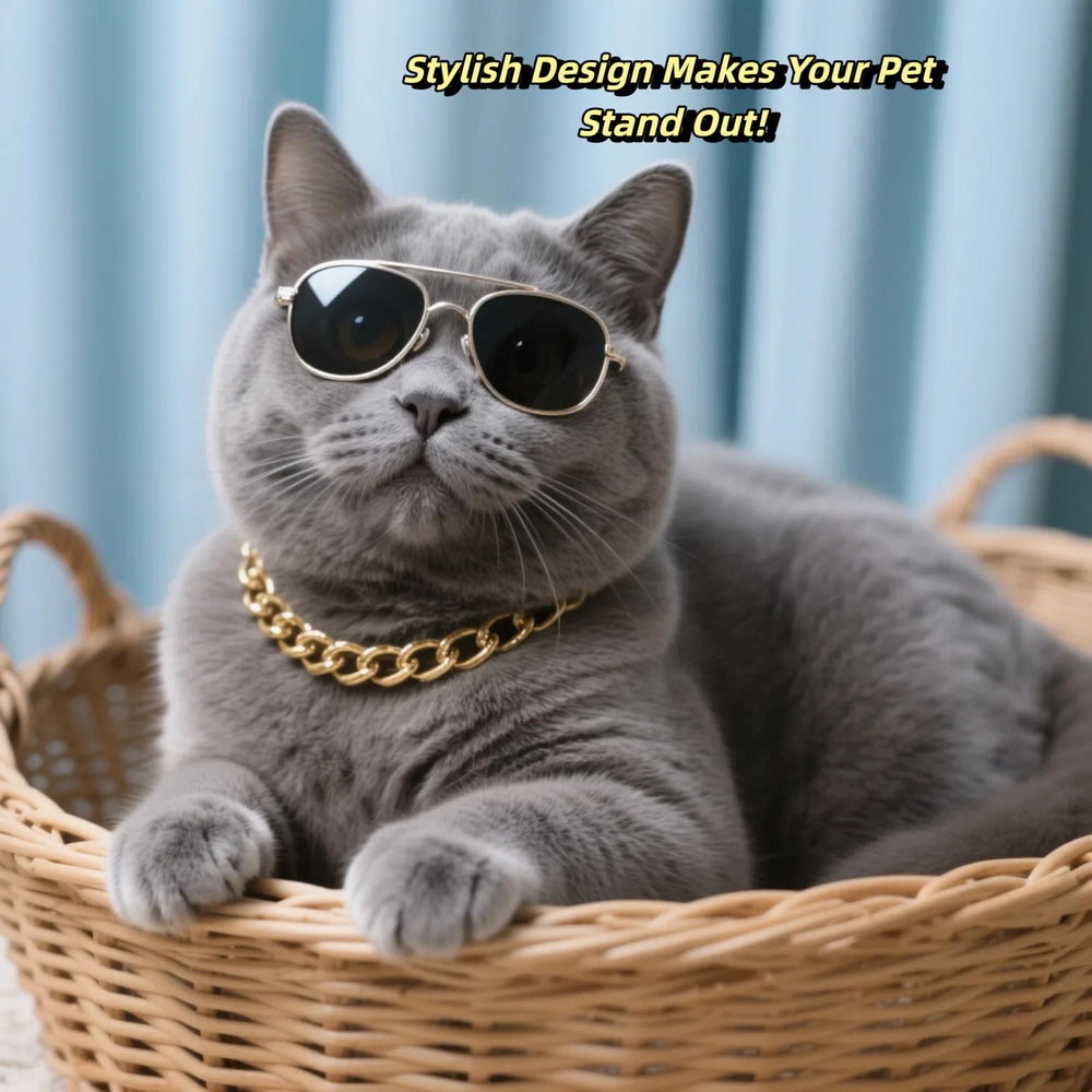 CWYZA collier chat or cadeau idéal pour les chats stylés et leurs fans.