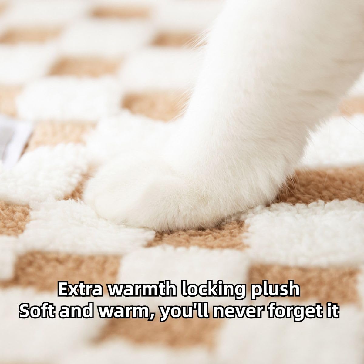 CXYYXF tunnel-chat-plusieurs-animaux: idéal pour chats et petits animaux.
