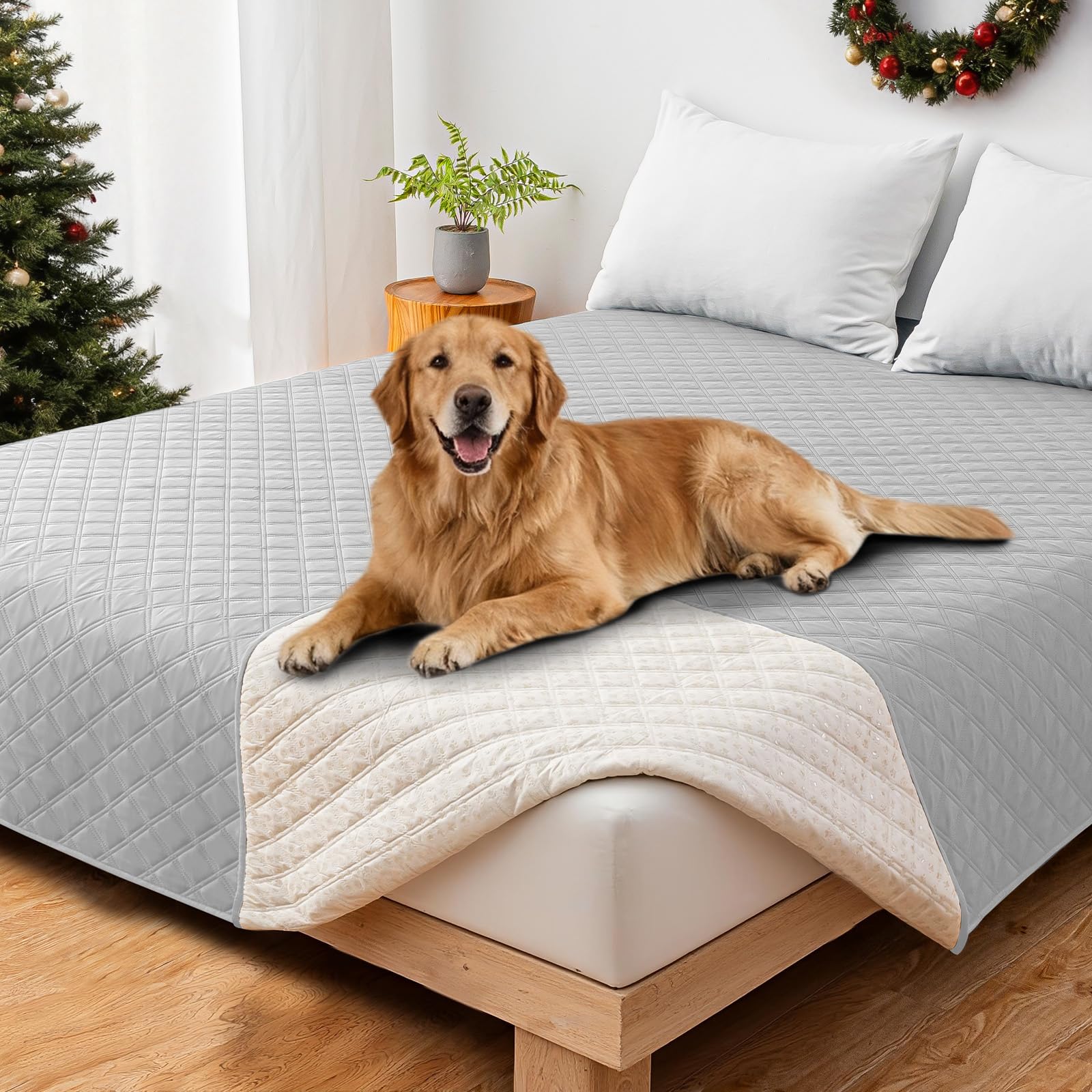 CYCMACO couverture chien imperméable pour canapé protège les meubles durablement.