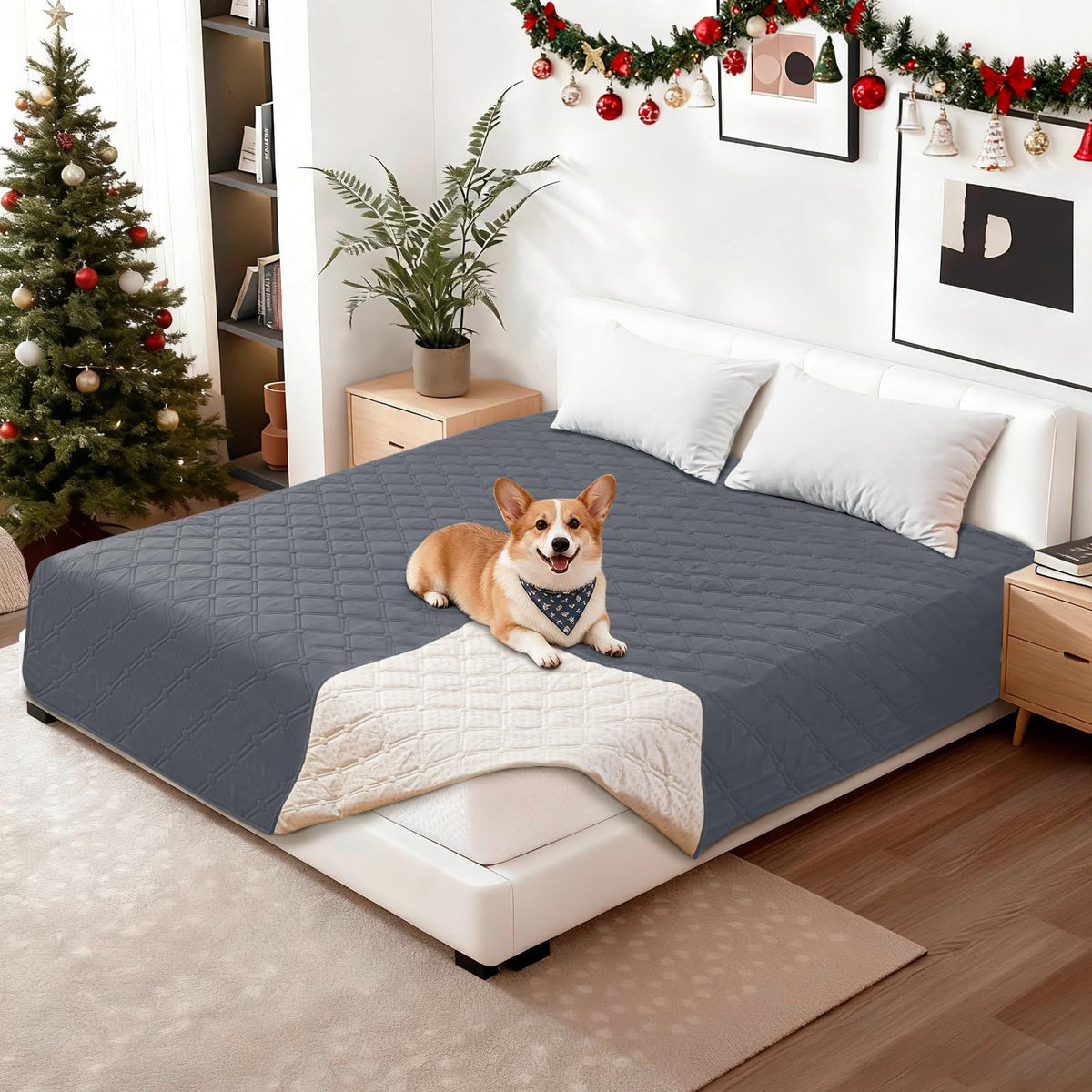 CYCMACO couverture chien imperméable sur canapé offrant une protection efficace contre les liquides.