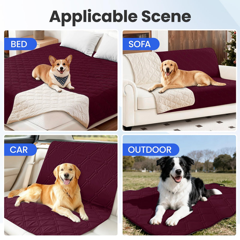 CYCMACO exemple-usage-canape-chien, protection pratique lors des jeux.