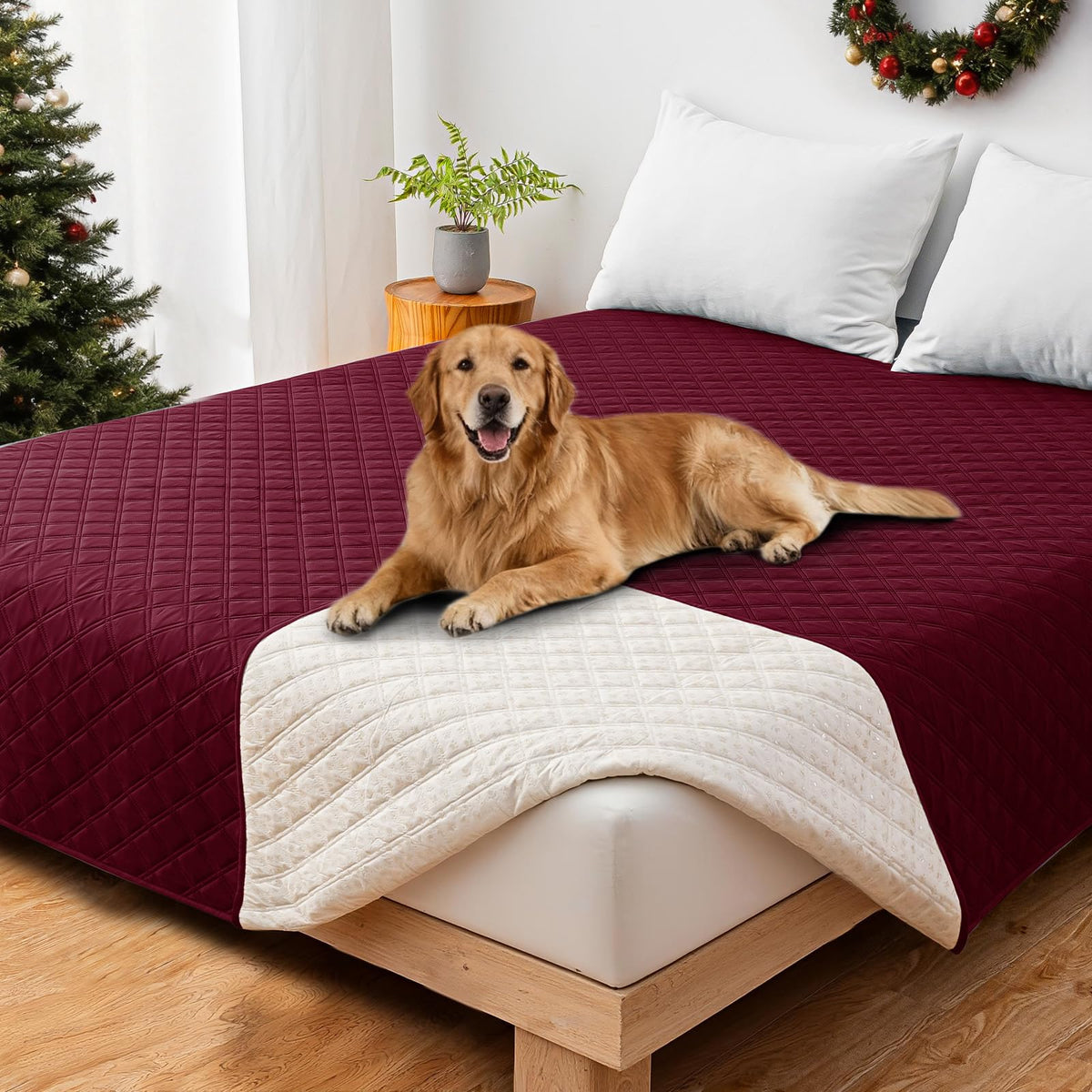 CYCMACO housse imperméable pour chien sur canapé protège les meubles durablement.