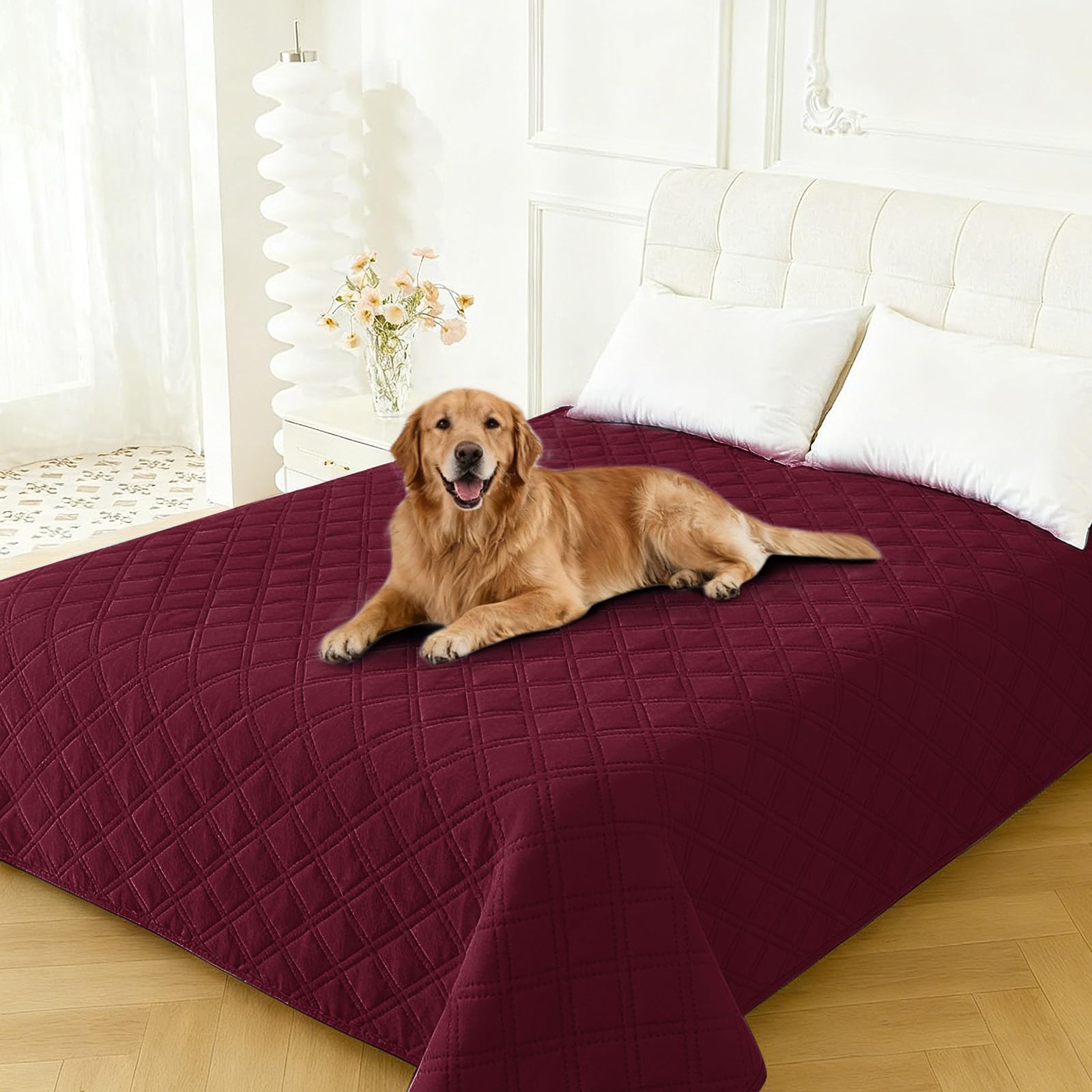 CYCMACO housse-lavable imperméable pour chien, entretien simple après chaque lavage.