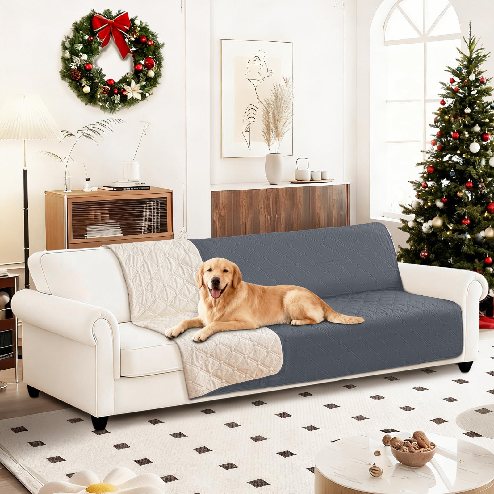 CYCMACO produit pliant et portable, parfait pour voyager avec votre chien.