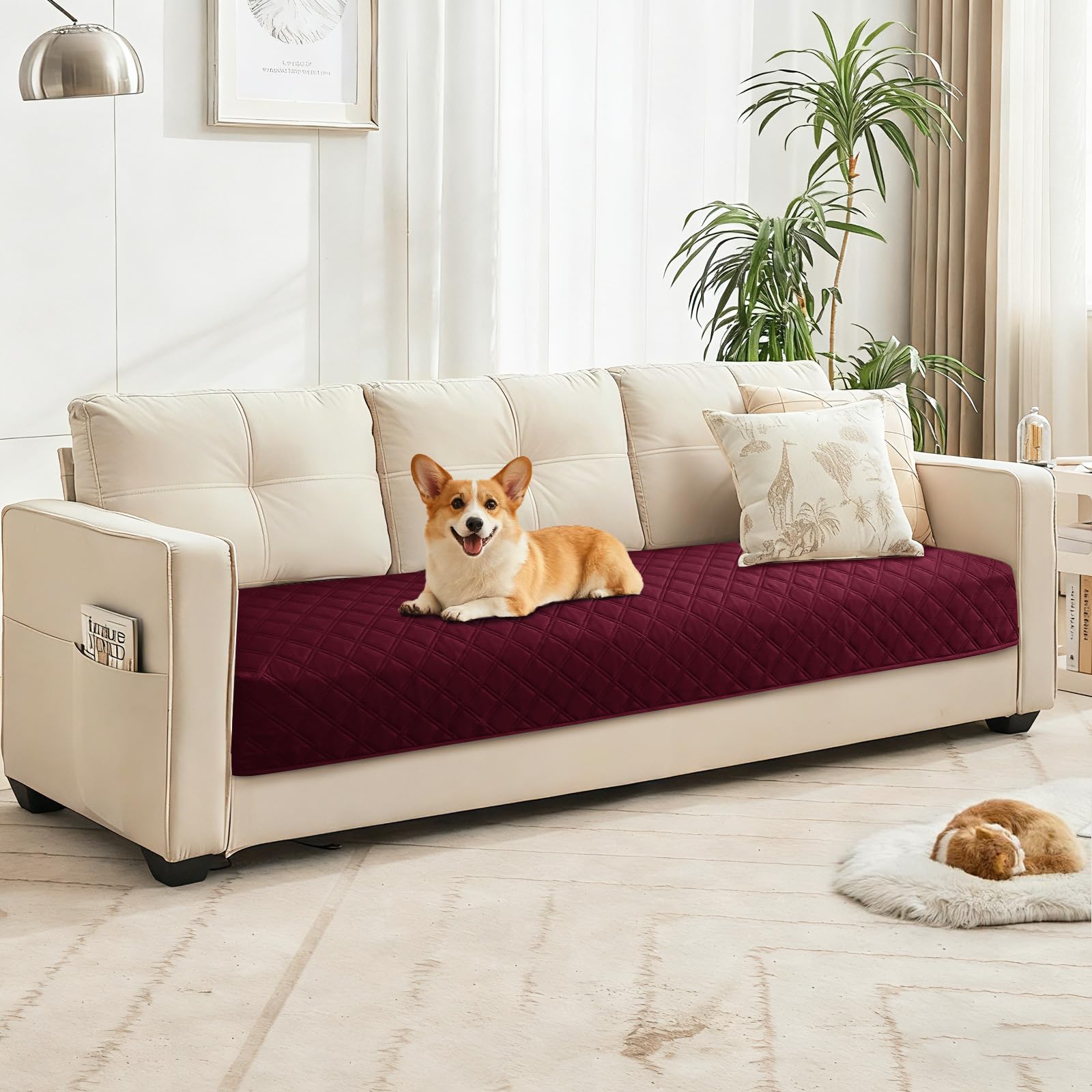 CYCMACO tissu-douceur chien offre un toucher confortable et moelleux.