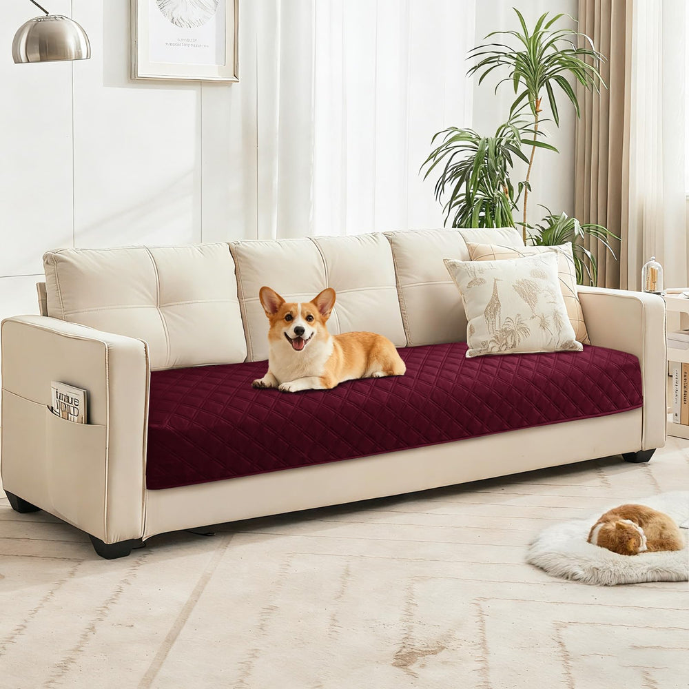 CYCMACO tissu-douceur chien offre un toucher confortable et moelleux.