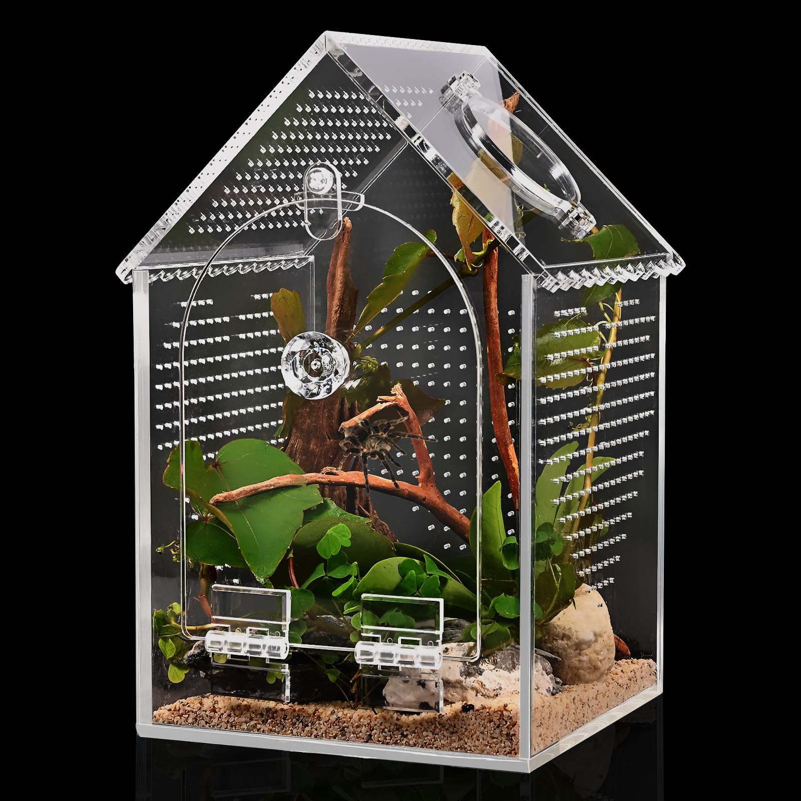 Cycodo terrarium tarantula – porte frontale pour observation et nourrissage faciles.