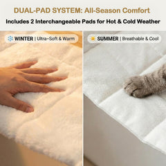 CYDDUP : support mural en bois durable, stabilité et sécurité pour le chat.