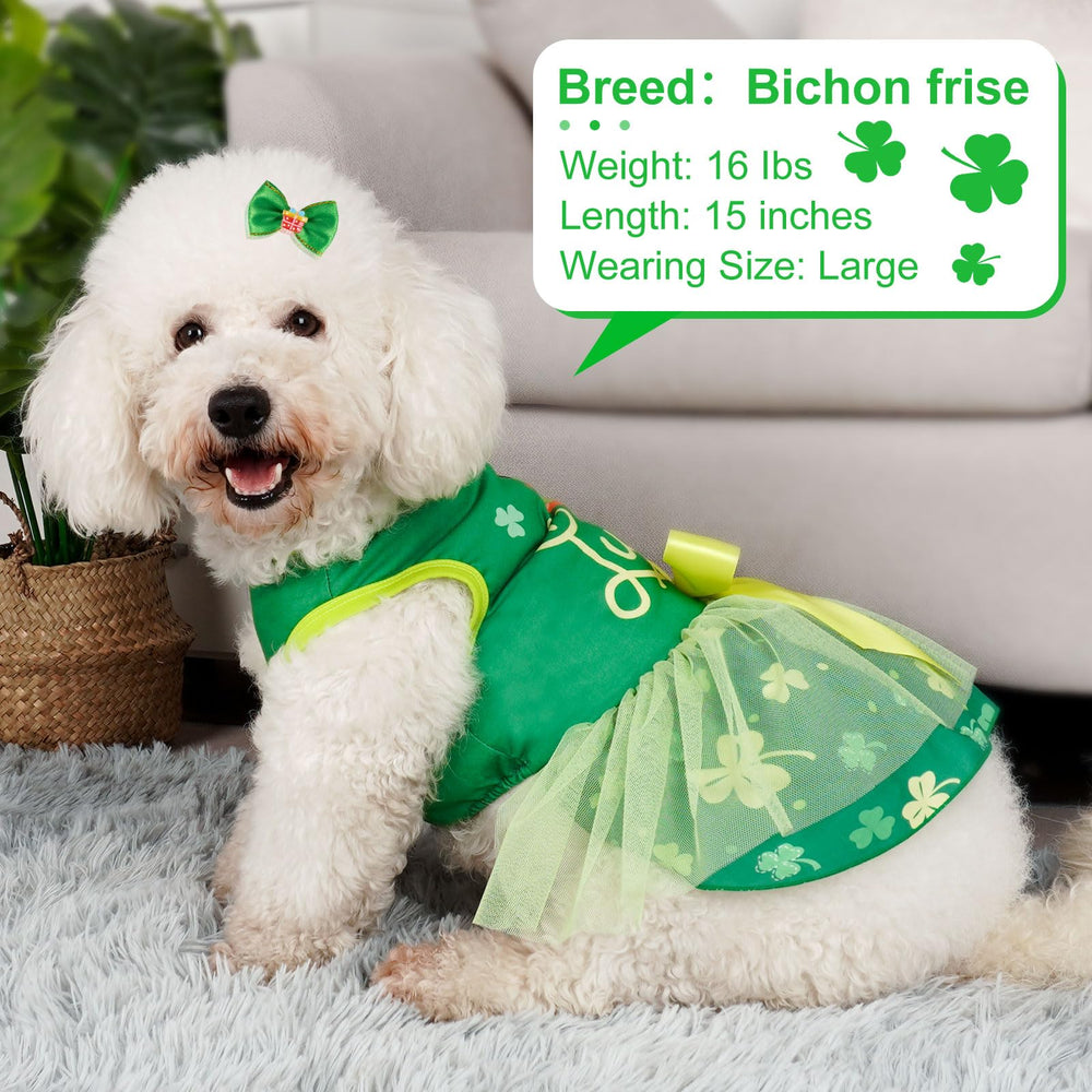 Chien portant la robe Cyeollo Saint-Patrick, prêt pour photos et événements.