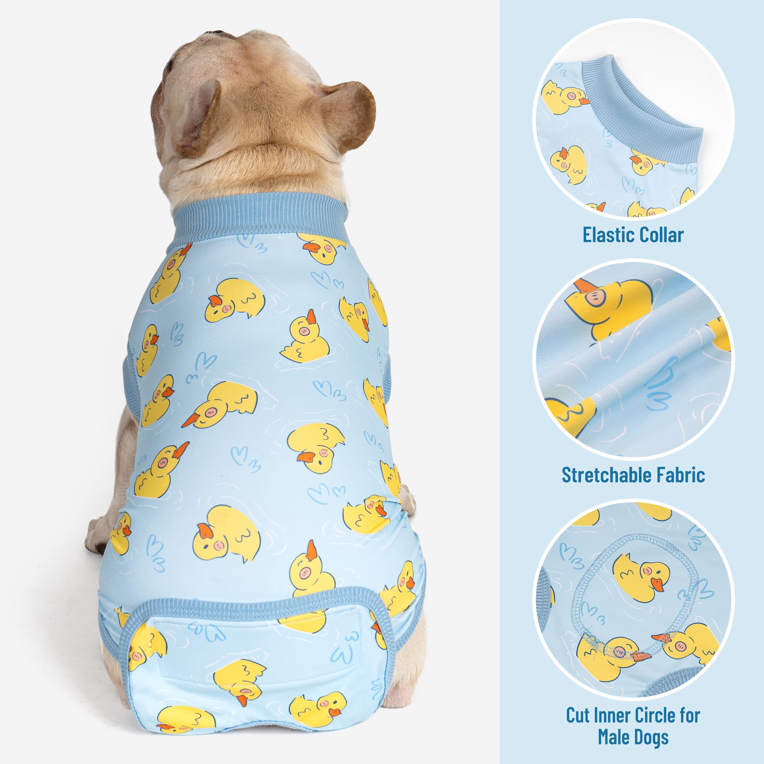 Pour chien canard jaune, protège les zones opérées tout en laissant bouger librement.