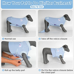 Cyeollo combinaison de rétablissement chien bleu gris vue arrière, protection des plaies.