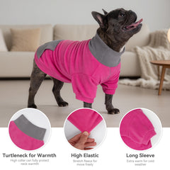 Chien portant le gilet cyeollo à col roulé, protection contre le froid.