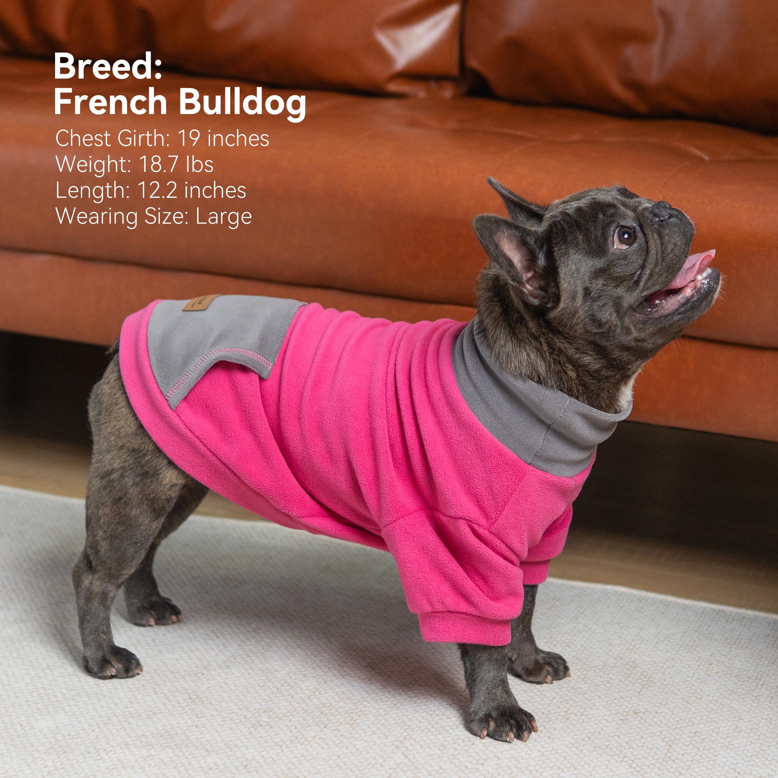 Gilet polaire cyeollo pour chien taille XL, ajustement confortable.