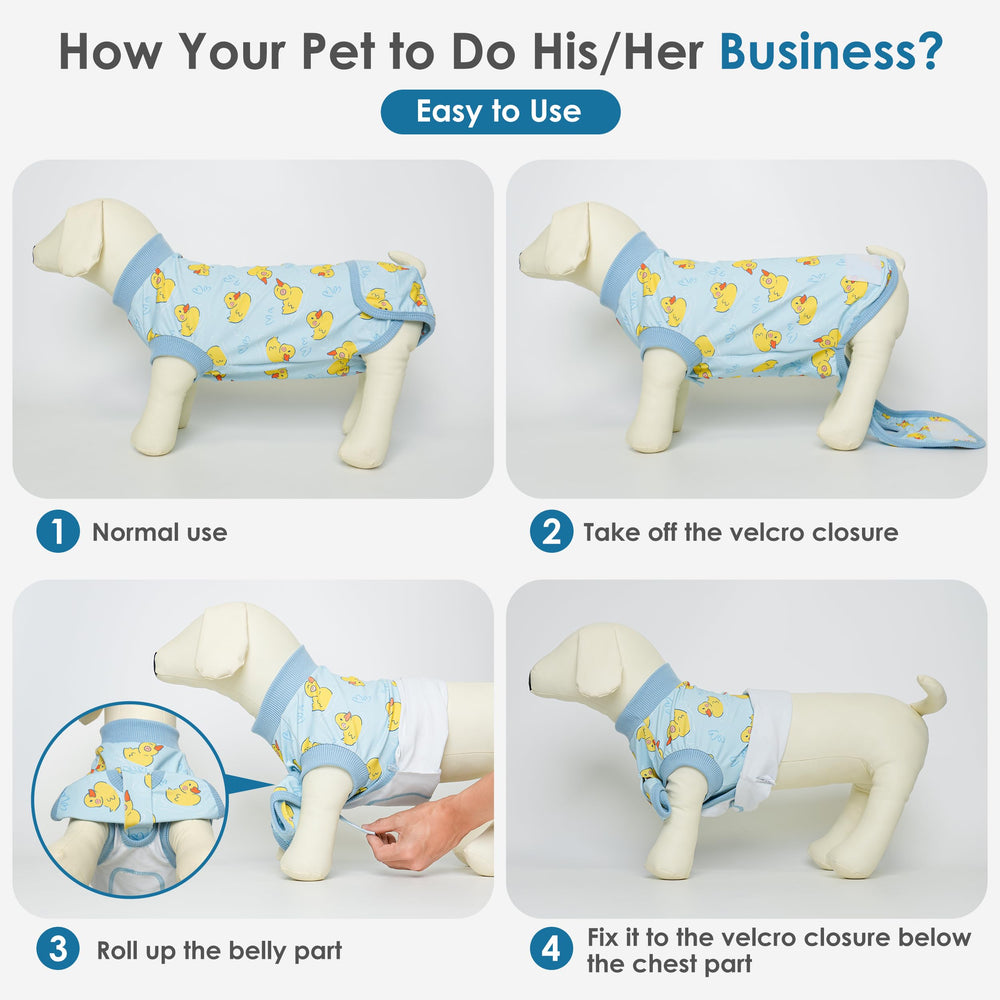 Guide taille Cyeollo: conseils pour choisir la bonne taille chien.