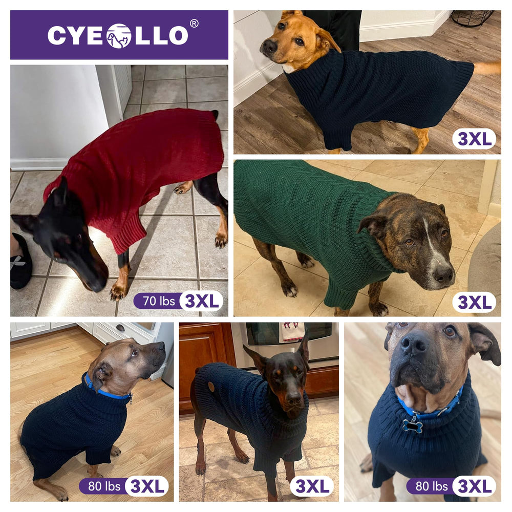 Guide tailles cyeollo: choisir la bonne taille pour chien gros.
