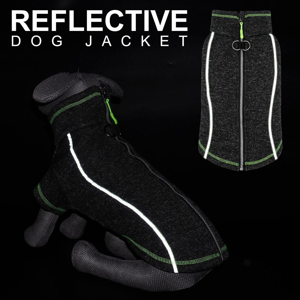 Manteau cyeollo chien avec bande réfléchissante — visibilité nocturne renforcée.