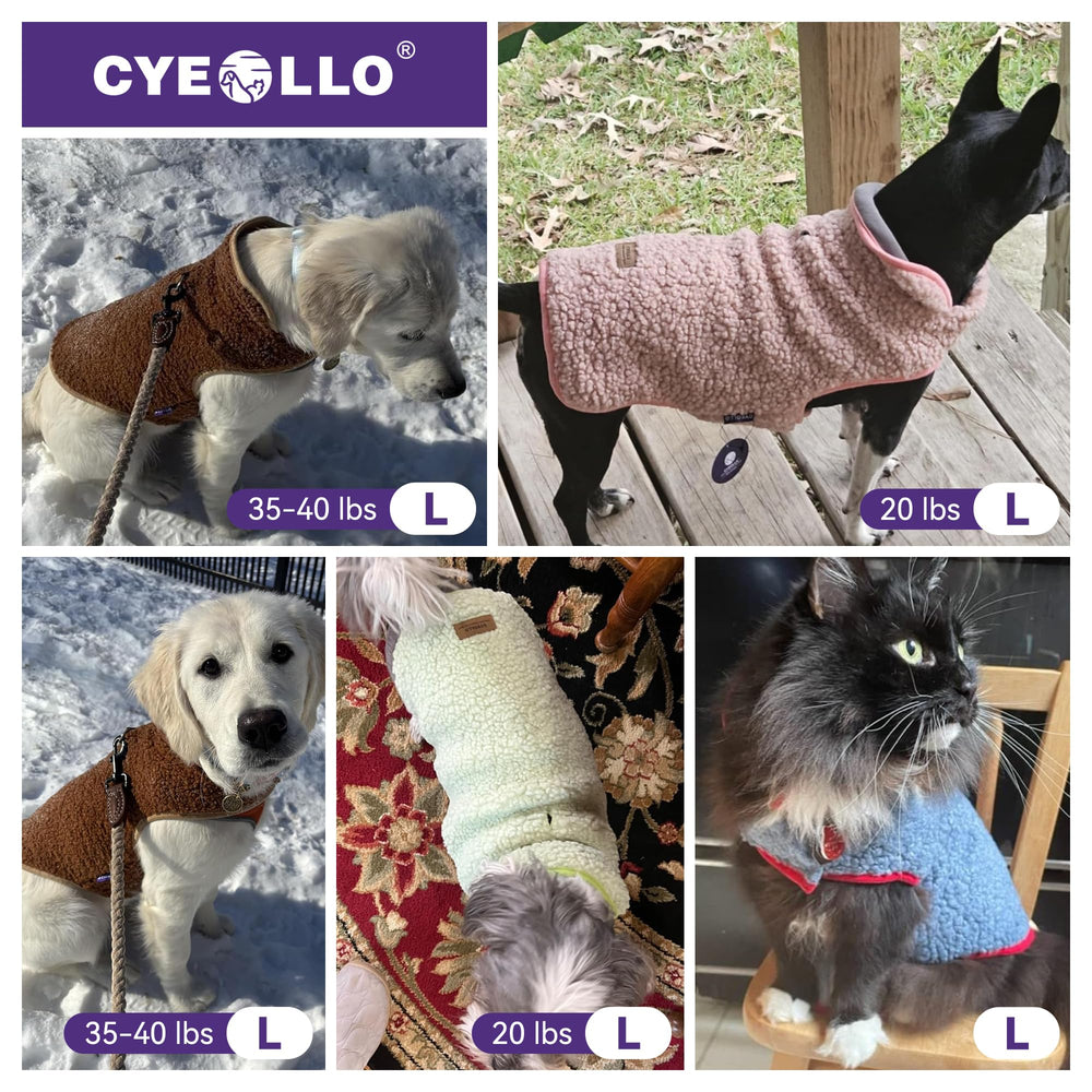 Manteau cyeollo brun, style et chaleur pour sorties hivernales