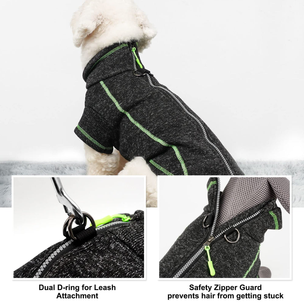 Manteau cyeollo chien avec anneaux en D — attache de laisse sécurisée.